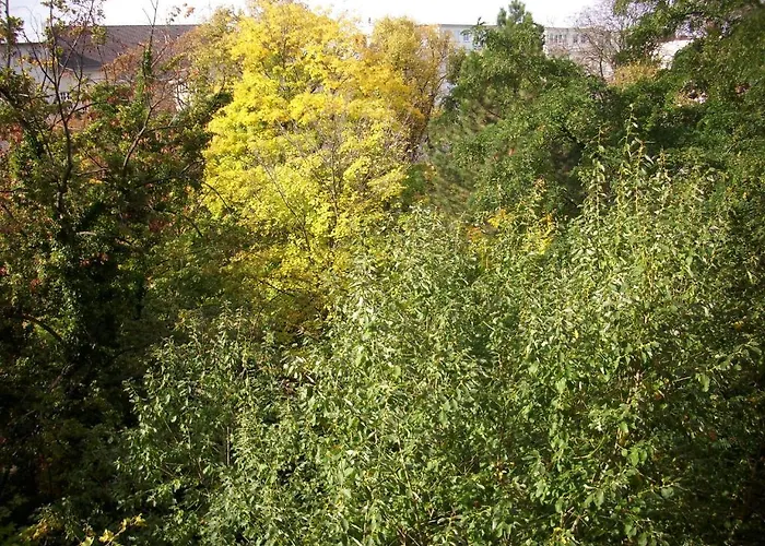 Palacina - Serviced Berlin